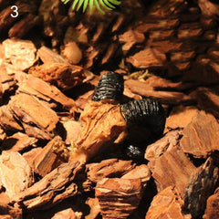 Resin Skull Fish Tank Aquarium Hiding Decor Terrarium Reptile Ornaments Tool