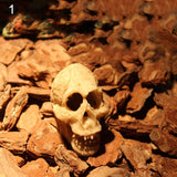 Resin Skull Fish Tank Aquarium Hiding Decor Terrarium Reptile Ornaments Tool